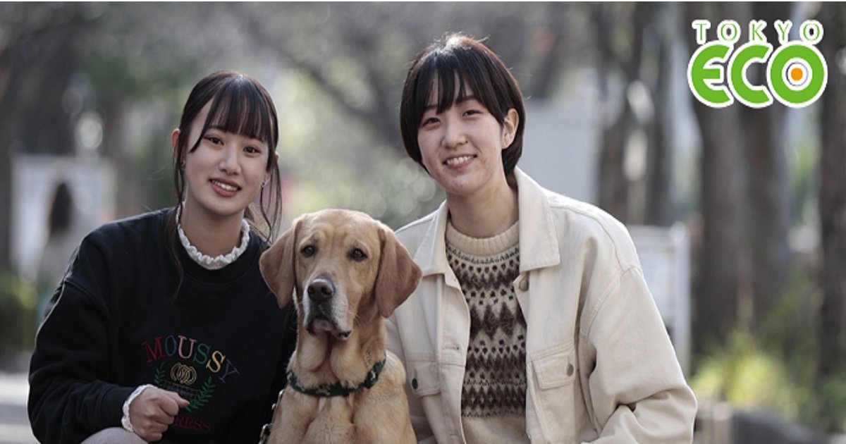 TCA東京ECO動物海洋専門学校