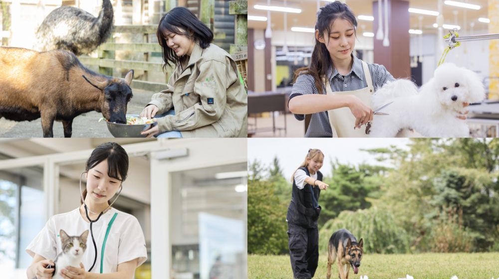 北海道エコ・動物自然専門学校