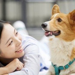 大阪ペピイ動物看護専門学校