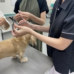 説明会