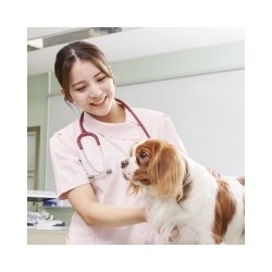 愛玩動物看護科