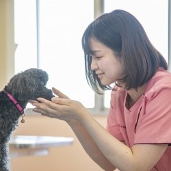 中央動物総合専門学校