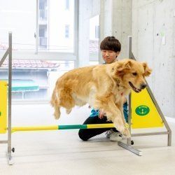 大阪ブレーメン動物専門学校