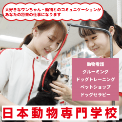 日本動物専門学校