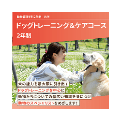 ドッグトレーニング&ケアコース