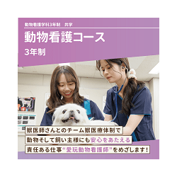 動物看護コース