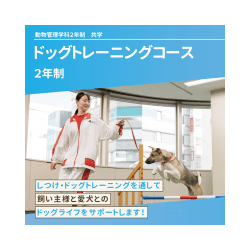 ドッグトレーニングコース