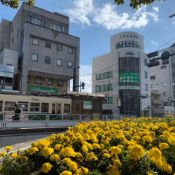 広島国際医療福祉専門学校