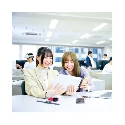 Web・モバイル分野