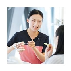 医療3年制学部<専門士>