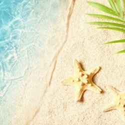 夏のスペシャルイベントを開催!この夏、TTCで進路を決めちゃおう!
