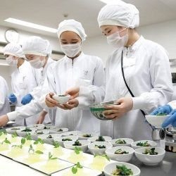 名古屋栄養専門学校