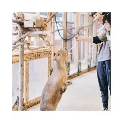 ペット学科
