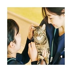 ペット学科