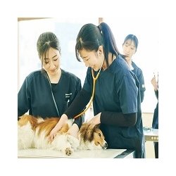 動物看護学科