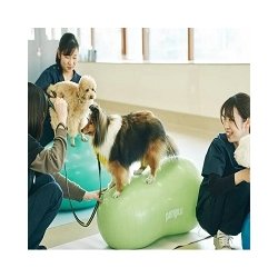 動物看護学科
