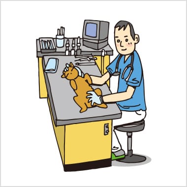 獣医師